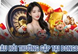 Giải Đáp Câu Hỏi Thường Gặp Tại BONG88 Chính Xác Nhất