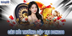 Giải Đáp Câu Hỏi Thường Gặp Tại BONG88 Chính Xác Nhất